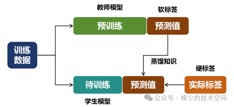 软标签：知识蒸馏的核心机制与应用