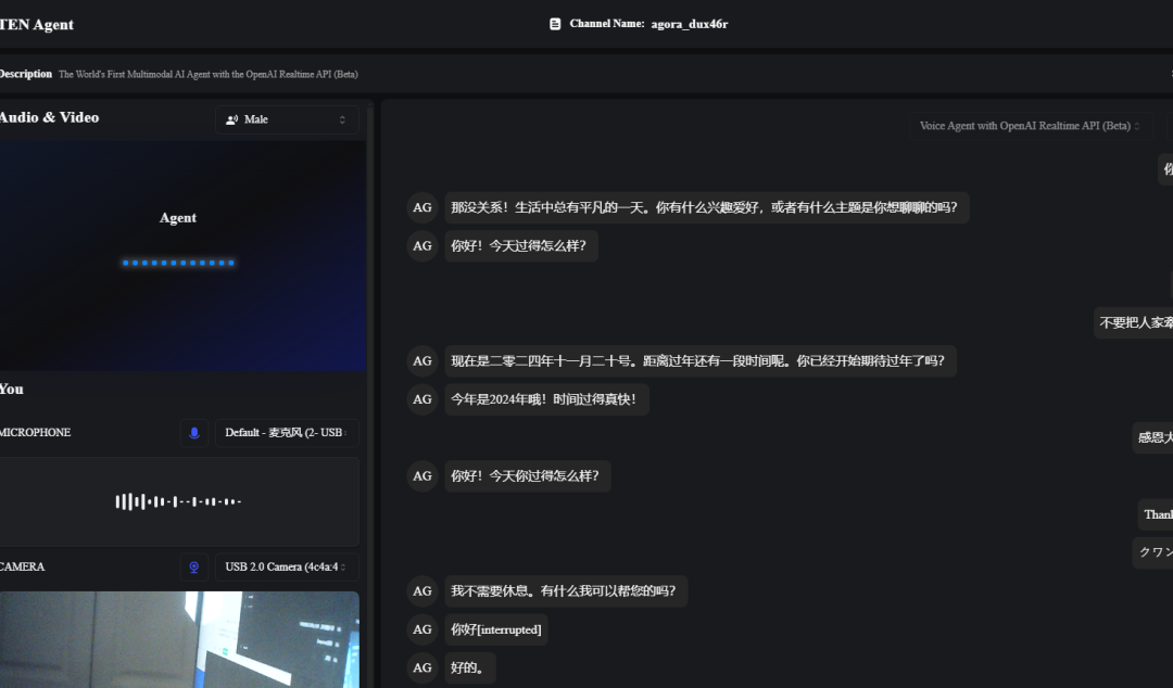 ten-agent: 又一款王炸级的开源端到端语音模型