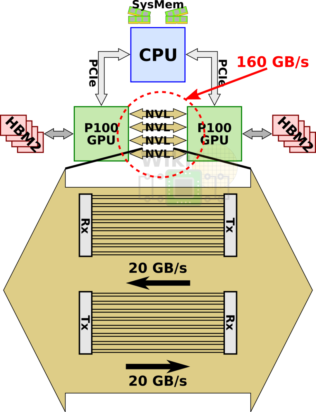 8 卡 GPU 服务器与 NVLink/NVSwitch 互联技术