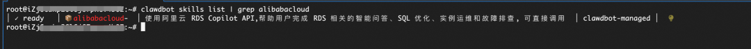 Moltbot实战：MoltBot+RDS AI助手Skill管理RDS实例