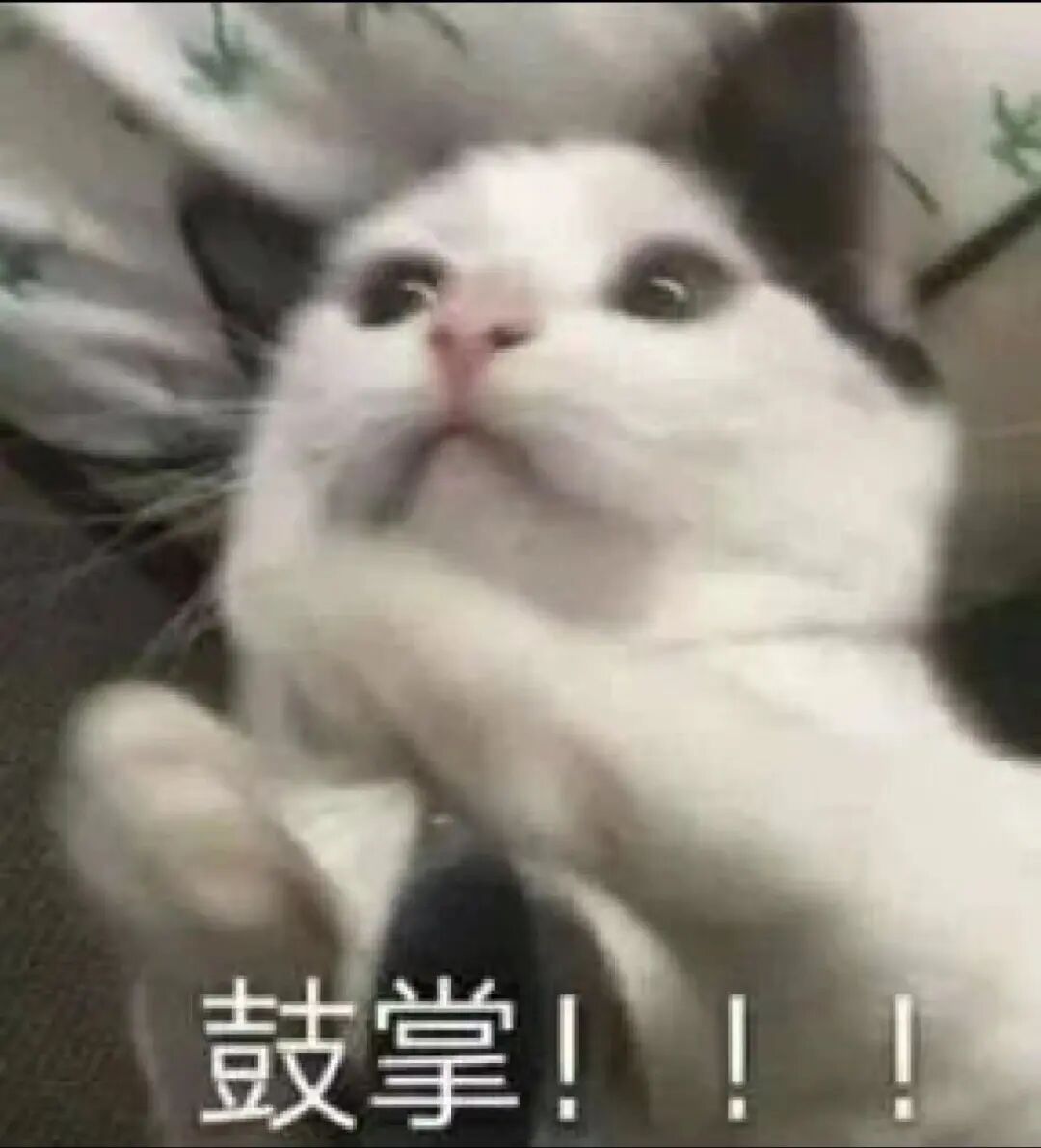 雅思！口语！用 AI 这不就搞定了！？｜扣子Coze最佳实践 Vol.1