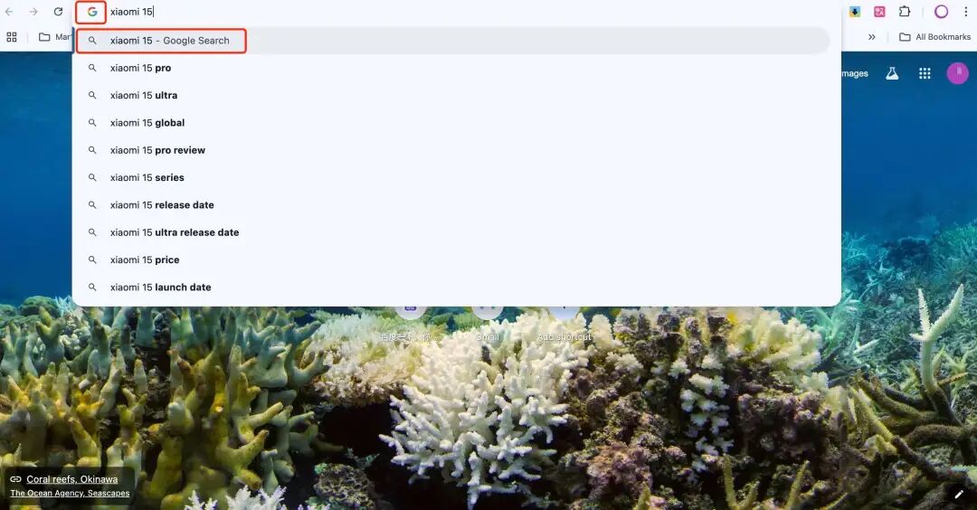 ChatGPT Search浏览器插件手把手教学！OpenAI官方出品！