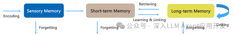智能体的记忆管理系统概述