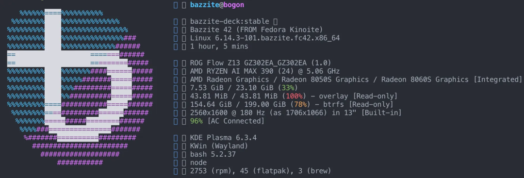 96G显存的4060？简单聊下AI MAX 395的这颗核显8060s(gfx1151)