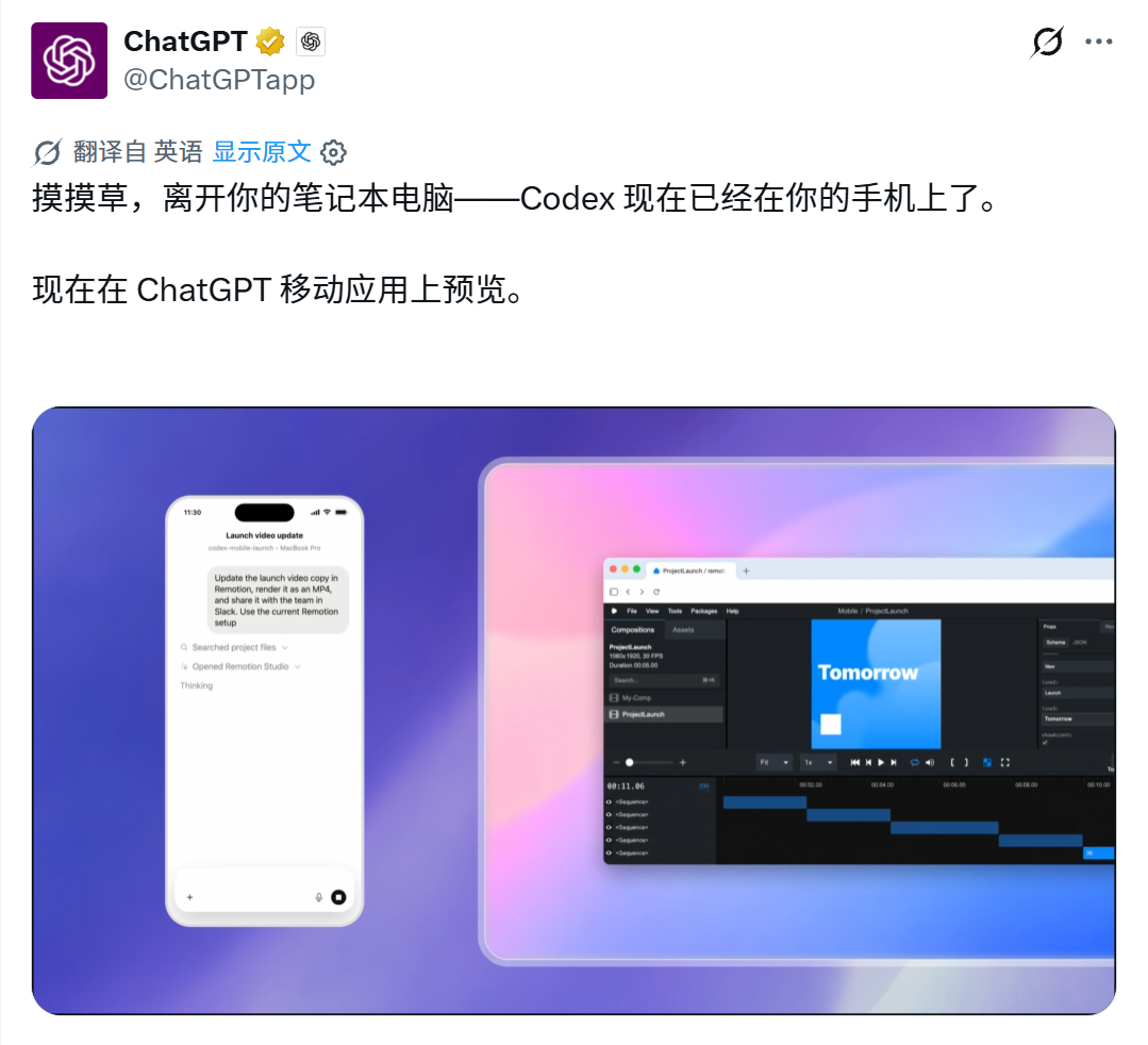 40分钟学会Codex！“零基础”终级教程～【附完整文档】